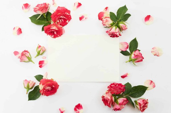 Quels sont les meilleurs frameworks CSS pour le développement front-end rapide?